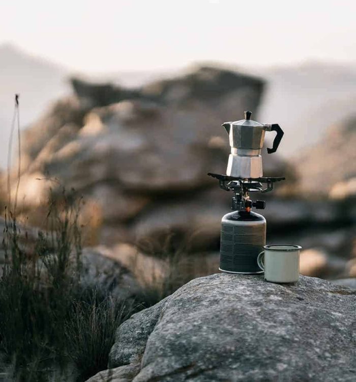 Conquer Bear Country with Confidence